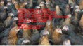 /album/resim-galerisi/picsart-1430921310671-kopya-jpg/